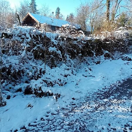 Chalet Barvaux Met Grote Tuin Durbuy Exteriör bild