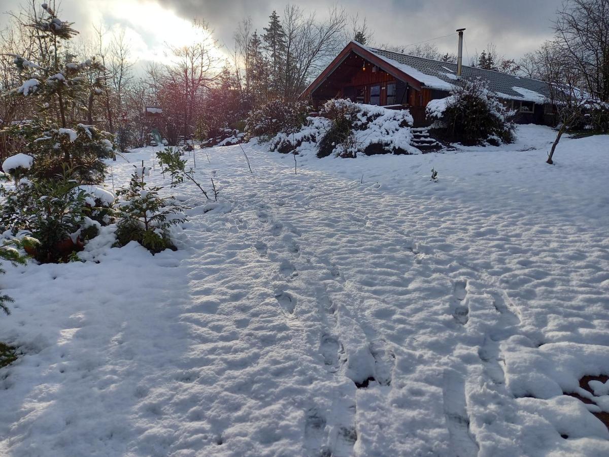 Chalet Barvaux Met Grote Tuin Durbuy Exteriör bild