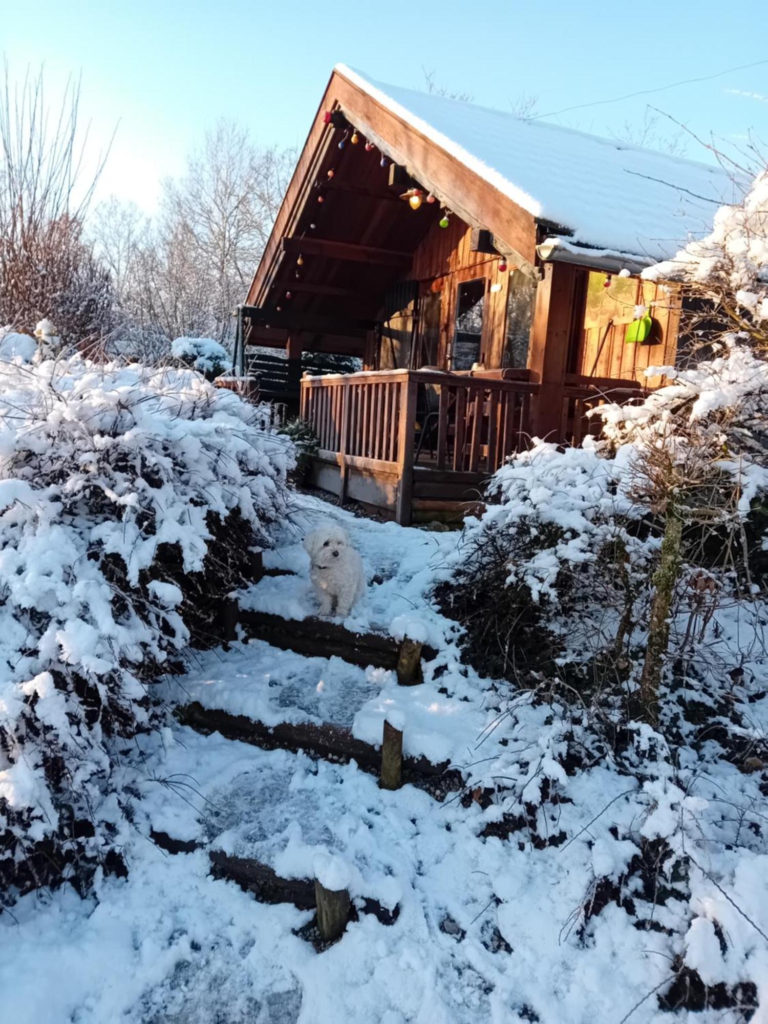 Chalet Barvaux Met Grote Tuin Durbuy Exteriör bild