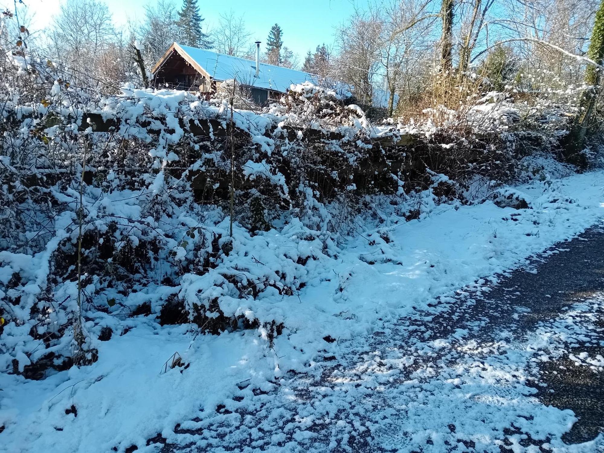 Chalet Barvaux Met Grote Tuin Durbuy Exteriör bild